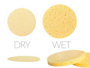 Exfoliating + Cleansing Sponges